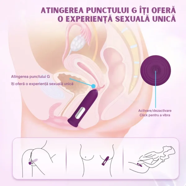 Vibrator Portabil Tradițional - imagine 7