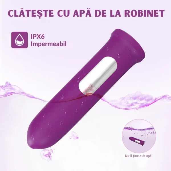 Vibrator Portabil Tradițional - imagine 6