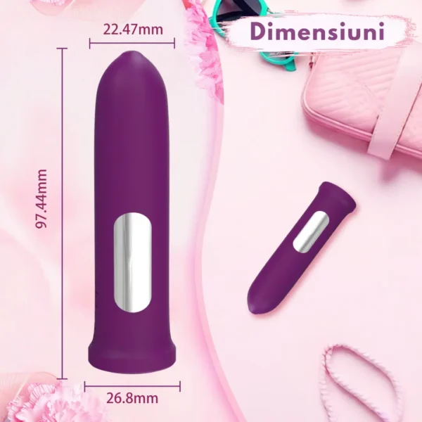 Vibrator Portabil Tradițional - imagine 8